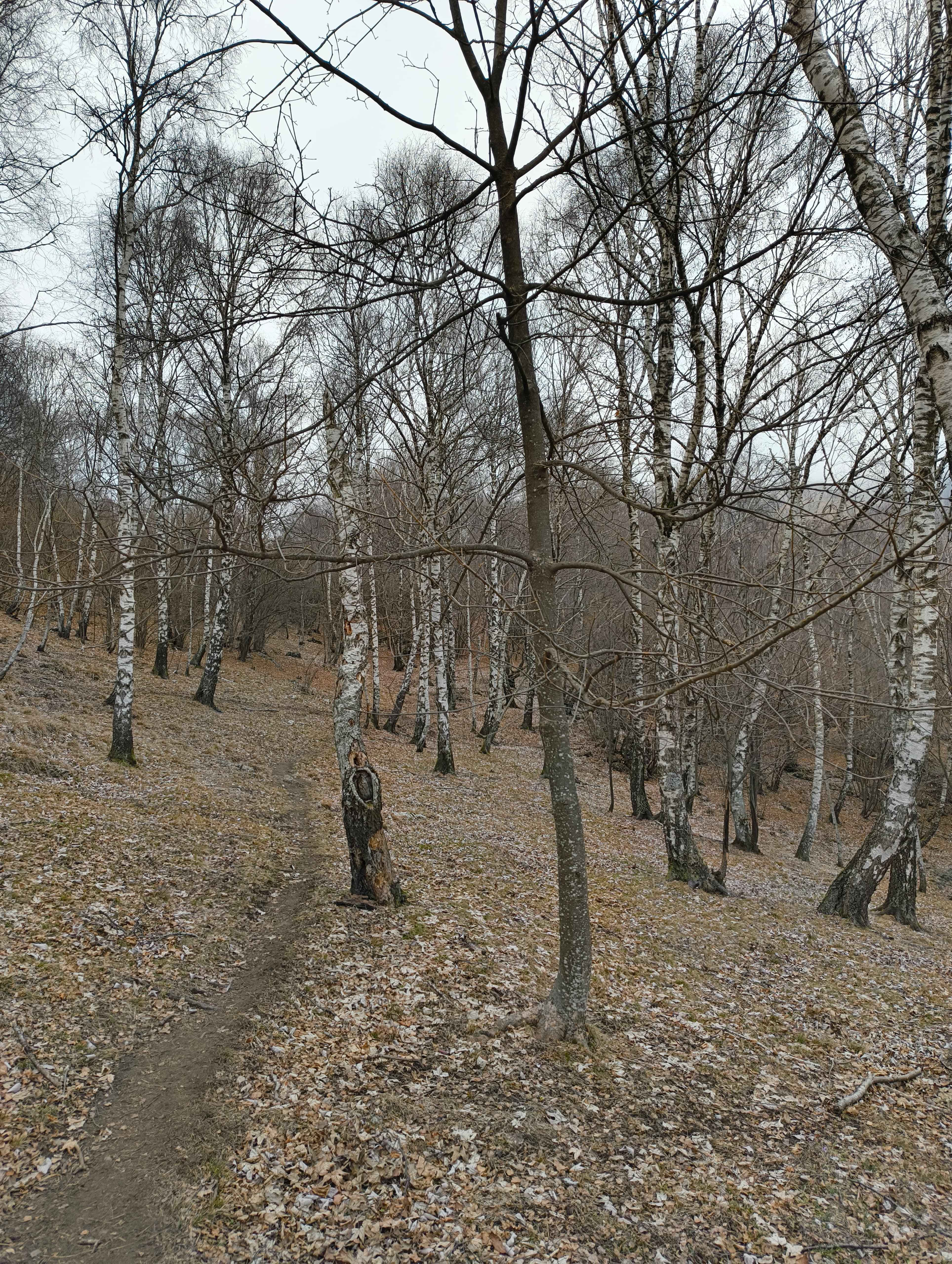 Foto n° 2 del trekking Magnodeno │ Passo del Fò